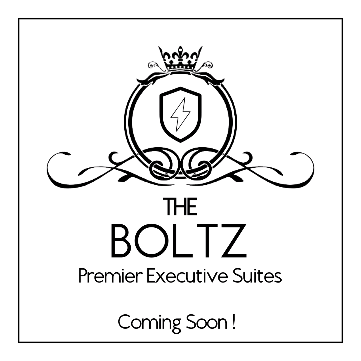 TheBoltz.com coming soon